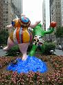 NY (338)